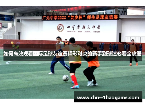如何高效观看国际足球友谊赛精彩对决的新手到球迷必看全攻略